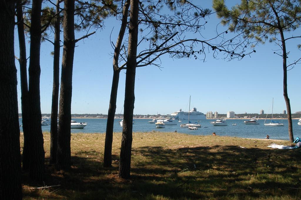 Jamaica Punta Del Este Hotel & Residence المظهر الخارجي الصورة